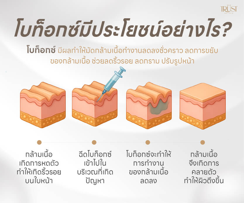 โบท็อก เชียงใหม่ ประโยชน์